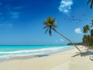 beach_splash